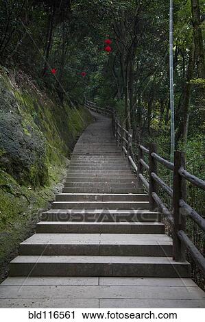 Stock Image - Concrete Stairway in the Woods. Fotosearch