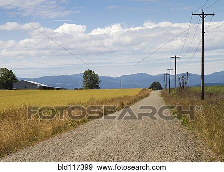 Stock Photo - Country Road Along a Wheat Field. Fotosearch