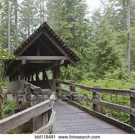 Covered wooden footbridge over Silver Creek in Silver Falls State Park View Large Photo Image Stock Image - Covered wooden footbridge over Silver Creek in Silver Falls State Park. Fotosearch