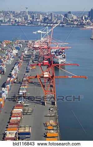 Cranes at the Port of Seattle View Large Photo Image Stock Image - Cranes at the Port of Seattle. Fotosearch