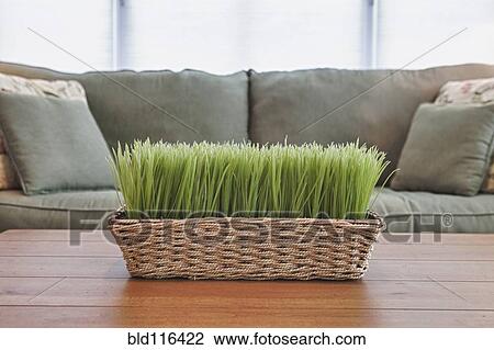 Stock Image - Decoration on Coffee Table. Fotosearch