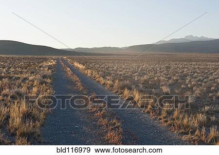 Dirt Road in the Middle of the Desert View Large Photo Image Stock Photo - Dirt Road in the Middle of the Desert. Fotosearch