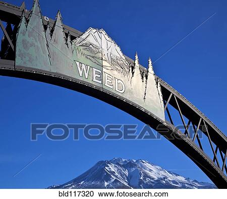 Entrance Sign to Weed California View Large Photo Image Stock Image - Entrance Sign to Weed California. Fotosearch