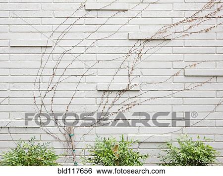 Exterior of Brick Building View Large Photo Image Stock Photograph - Exterior of Brick Building. Fotosearch