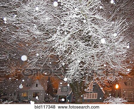Falling Snow in a Neighborhood View Large Photo Image Stock Photo - Falling Snow in a Neighborhood. Fotosearch