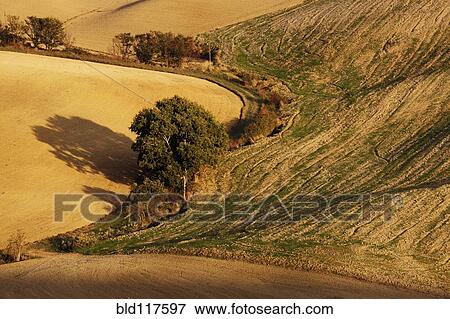 Stock Photo - Farm Landscape. Fotosearch
