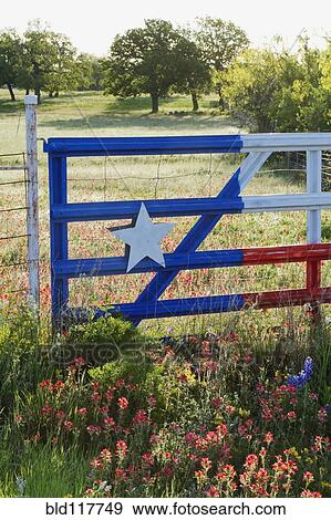 Fence With a Texas Paint Job View Large Photo Image Stock Photo - Fence With a Texas Paint Job. Fotosearch