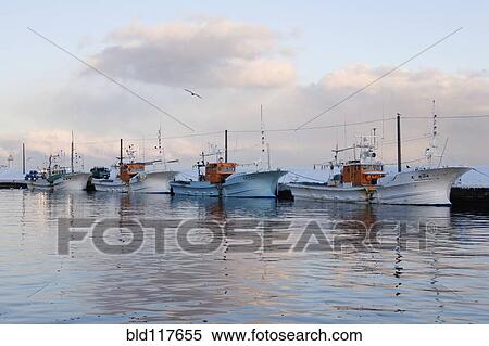 Fishing Port Harbor at Dusk View Large Photo Image Stock Photography - Fishing Port Harbor at Dusk. Fotosearch