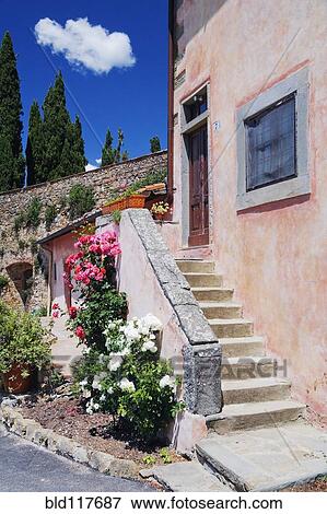 Flowers Growing on Side of House Stairs View Large Photo Image Stock Photo - Flowers Growing on Side of House Stairs. Fotosearch