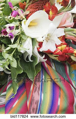 Flowers on a Colorful Tapestry View Large Photo Image Picture - Flowers on a Colorful Tapestry. Fotosearch