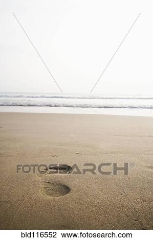 Footprint in the Sand View Large Photo Image Stock Image - Footprint in the Sand. Fotosearch