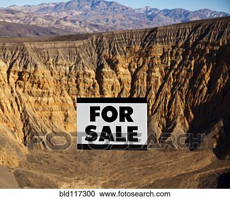 For Sale Sign in Desert Landscape View Large Photo Image Stock Image - For Sale Sign in Desert Landscape. Fotosearch