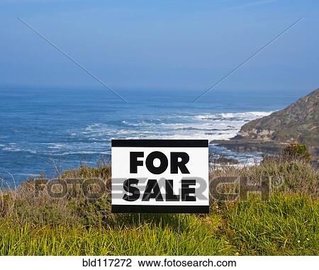 For Sale Sign Near Beach View Large Photo Image Stock Image - For Sale Sign Near Beach. Fotosearch