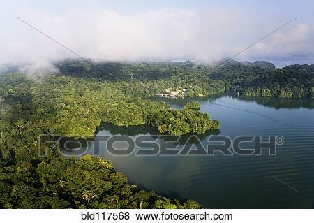 Forest and Lake View Large Photo Image Stock Photo - Forest and Lake. Fotosearch