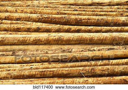 Fresh Cut Timber View Large Photo Image Stock Image - Fresh Cut Timber. Fotosearch