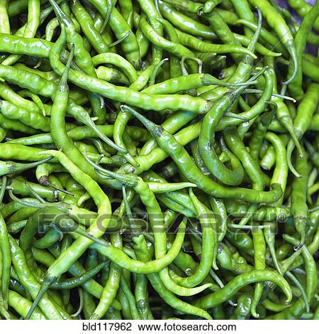 Fresh Green Beans View Large Photo Image Stock Image - Fresh Green Beans. Fotosearch