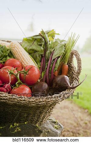 Fresh Vegetables in a Basket View Large Photo Image Stock Photo - Fresh Vegetables in a Basket. Fotosearch