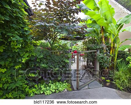 Garden Gate View Large Photo Image Stock Photograph - Garden Gate. Fotosearch