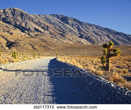 Gravel Road in Desert View Large Photo Image Stock Photography - Gravel Road in Desert. Fotosearch