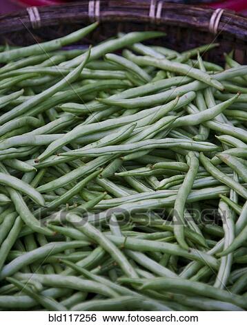 Green Beans View Large Photo Image Stock Photograph - Green Beans. Fotosearch