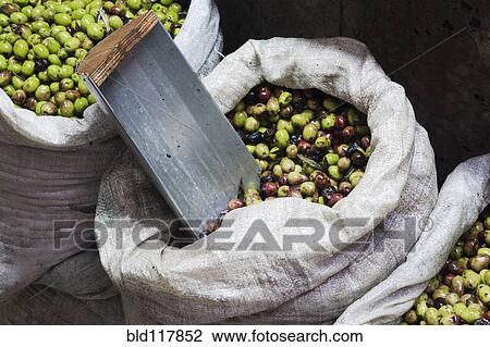 Green Olives for Sale View Large Photo Image Stock Image - Green Olives for Sale. Fotosearch