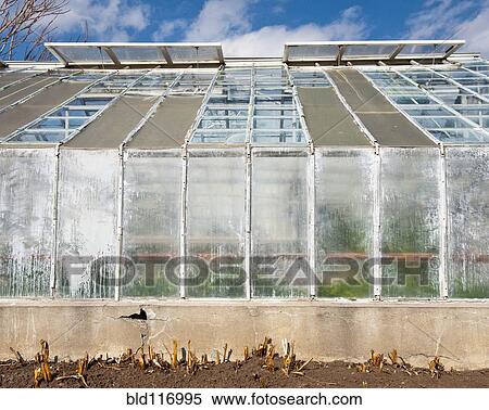 Stock Photography - Greenhouse in Public Park. Fotosearch