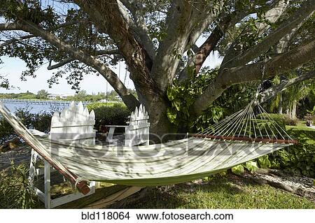 Picture - Hammock Under a Tree. Fotosearch