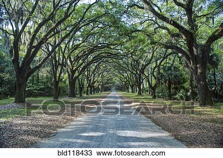 Stock Image - Historic plantation house and estate. Fotosearch