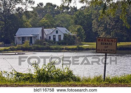 Home in Swampland View Large Photo Image Stock Photo - Home in Swampland. Fotosearch