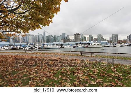 Stock Image - In urban Stanley Park. Fotosearch