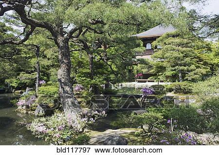 Japanese Garden and Pond View Large Photo Image Stock Photo - Japanese Garden and Pond. Fotosearch