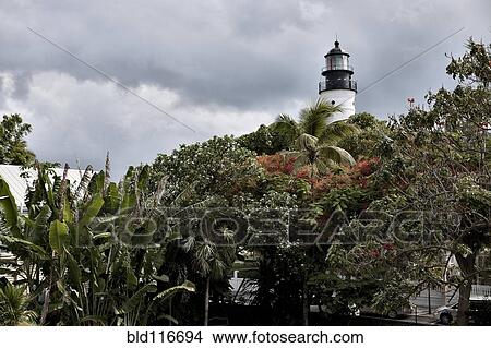 Lighthouse over Treetops View Large Photo Image Picture - Lighthouse over Treetops. Fotosearch