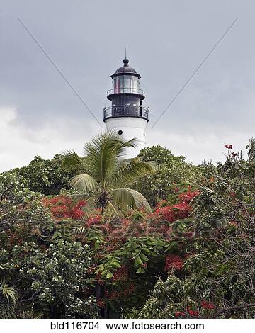 Lighthouse over Treetops View Large Photo Image Picture - Lighthouse over Treetops. Fotosearch