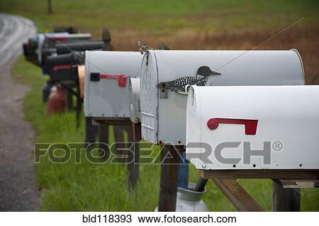 Stock Image - Mail boxes in rural area near Alexandria, New York. Fotosearch