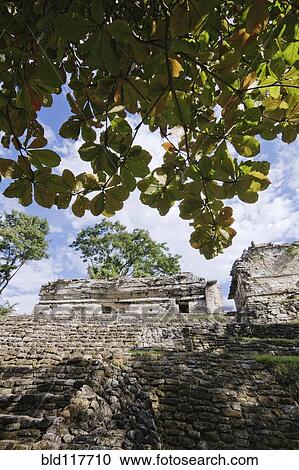 Mayan Ruins View Large Photo Image Stock Image - Mayan Ruins. Fotosearch