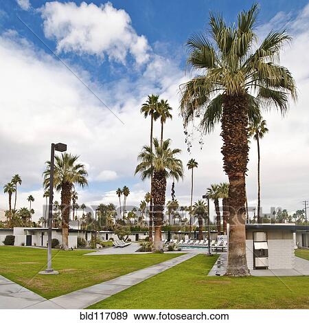 Stock Photo - Motel and Palm Trees. Fotosearch