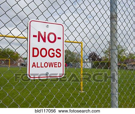 No Dogs Allowed Sign View Large Photo Image Stock Photograph - No Dogs Allowed Sign. Fotosearch