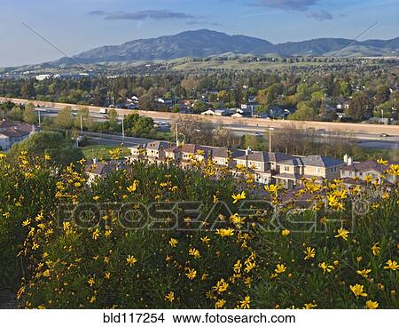 Picture - Northern California Landscape. Fotosearch