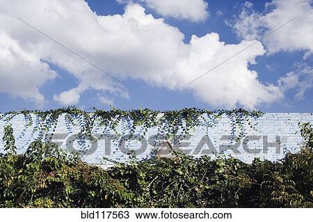 Old Wall View Large Photo Image Stock Image - Old Wall. Fotosearch