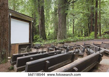 Picture - Open air theatre space in a clearing in Redwood National park. Fotosearch