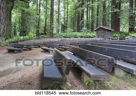 Stock Photography - Open air theatre space in a clearing in Redwood National park. Fotosearch