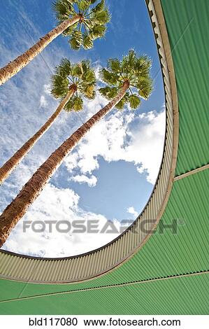 Palm Trees Through Architecture View Large Photo Image Stock Image - Palm Trees Through Architecture. Fotosearch