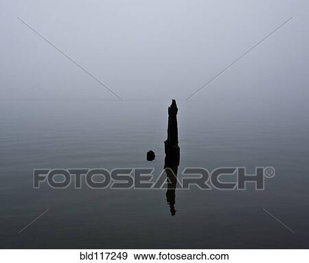 Piling in Water View Large Photo Image Stock Photo - Piling in Water. Fotosearch