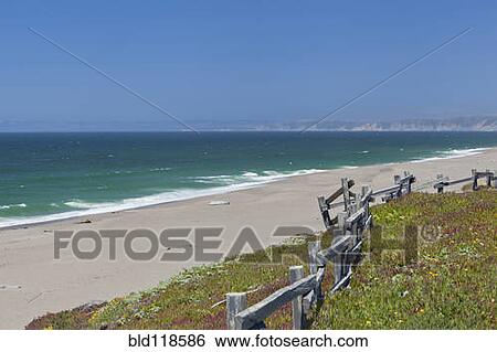Point Reyes National Seashore, a beautiful, long wide beach View Large Photo Image Stock Photograph - Point Reyes National Seashore, a beautiful, long wide beach. Fotosearch