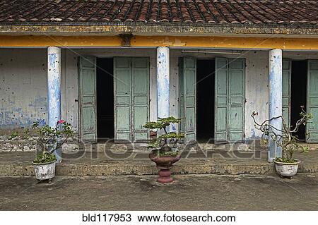 Stock Image - Potted Plants in Front of a Weathered Building. Fotosearch