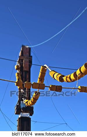 Picture - Power Lines Coming Off of Pole. Fotosearch