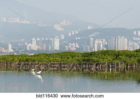 Smooth water in wetlands area with a backdrop of mountains View Large Photo Image Stock Image - Smooth water in wetlands area with a backdrop of mountains. Fotosearch