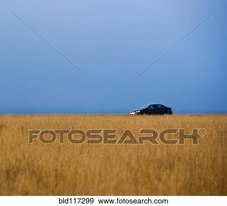 Stock Photo - Solitary Car On Road Through Winter Grass. Fotosearch