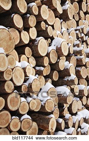 Stack of Wood View Large Photo Image Picture - Stack of Wood. Fotosearch