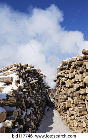Stock Photograph - Stacks of Wood. Fotosearch